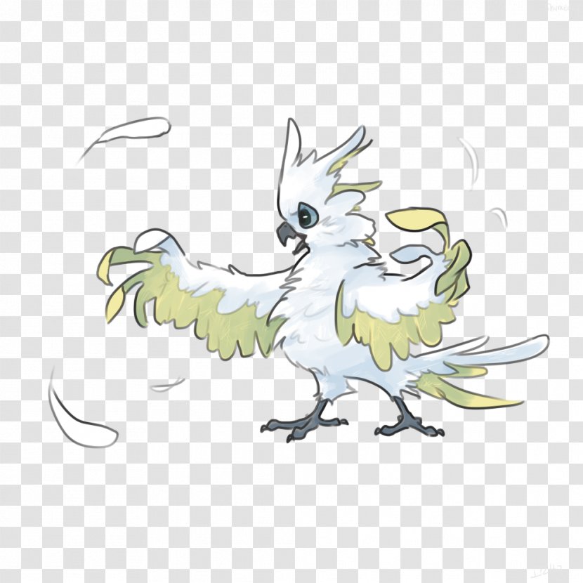 Beak Chicken Illustration Clip Art Feather - Hare Transparent PNG