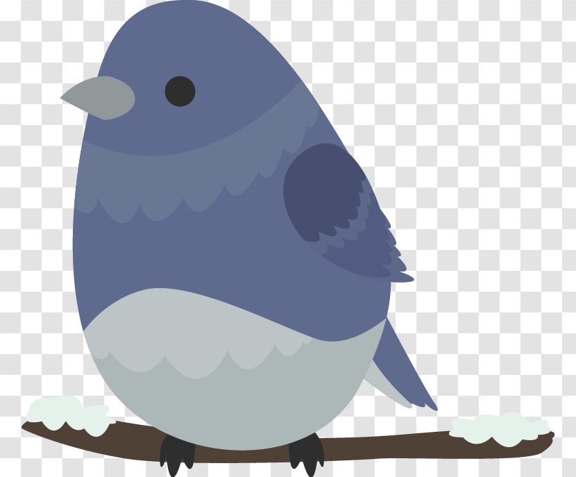 Bird Beak Euclidean Vector - Organism - Blue Birds Transparent PNG