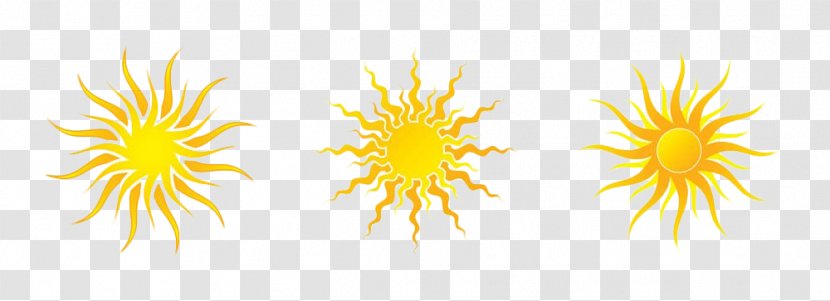 Impression, Sunrise Sunlight - Daisy Family - Golden Sunshine Transparent PNG