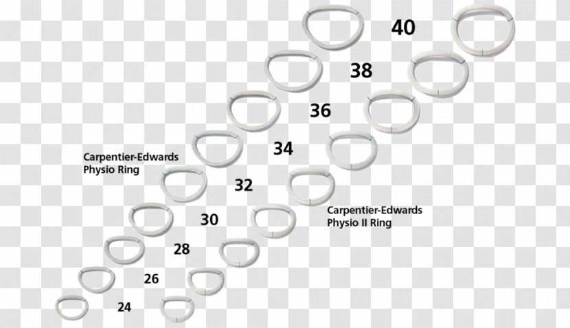 Shape Optimization Mathematical Physical Therapy Dimension - Brand Transparent PNG