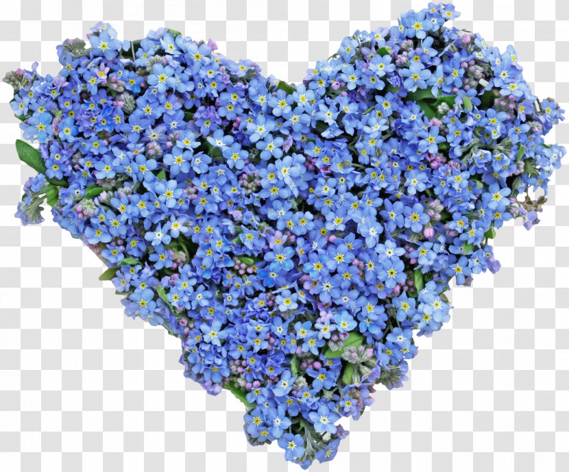 Flower Stock Photography Heart Royalty-free Blue - Cobalt Transparent PNG