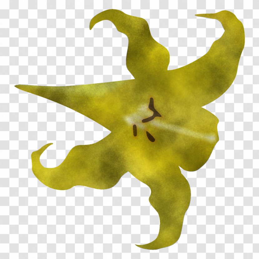 Yellow Plant Flower Tree Lily Transparent PNG