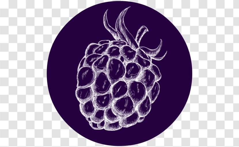 Grape Purple Pattern - Organism Transparent PNG