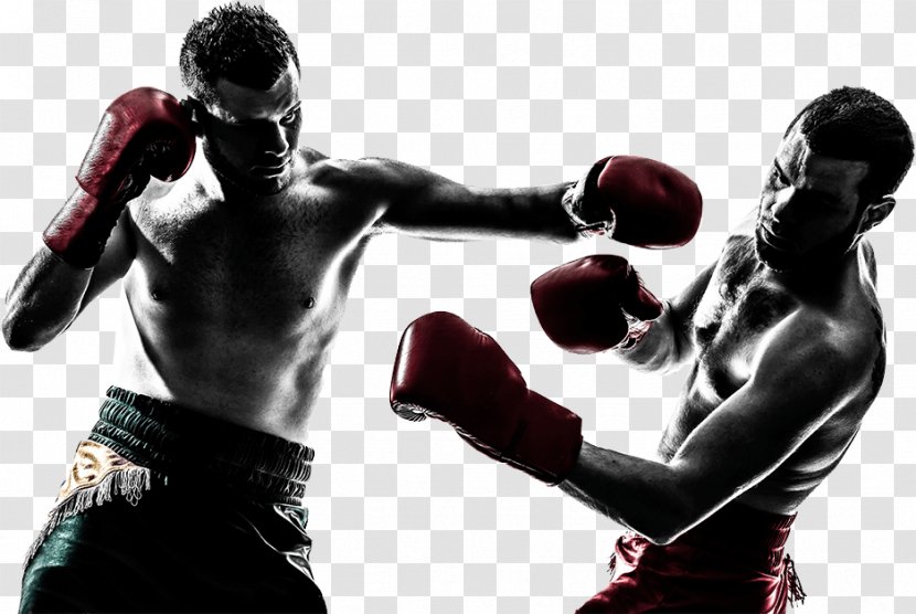 Boxing Glove - Mixed Martial Arts Transparent PNG