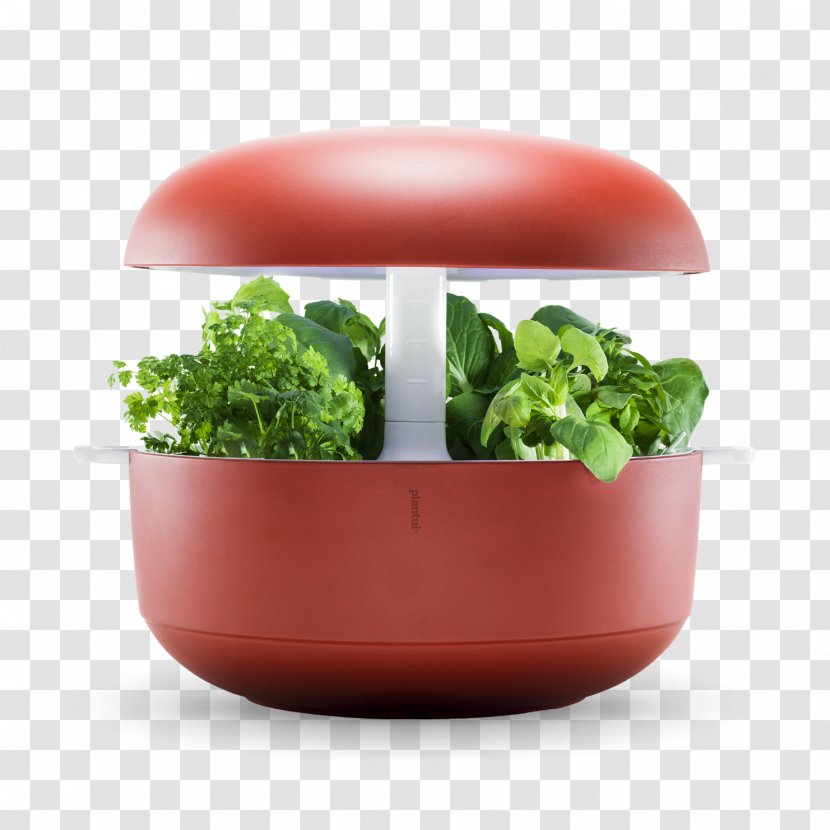 Plantui Smart Garden LLP Greenhouse Herb Salad - Basil Transparent PNG