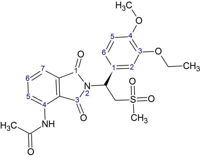 Development Of Analogs Thalidomide Apremilast Lewis Structure - Tree - Molar Sugar Transparent PNG