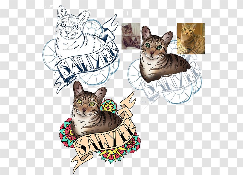 Tabby Cat Kitten Whiskers - Doodle Transparent PNG