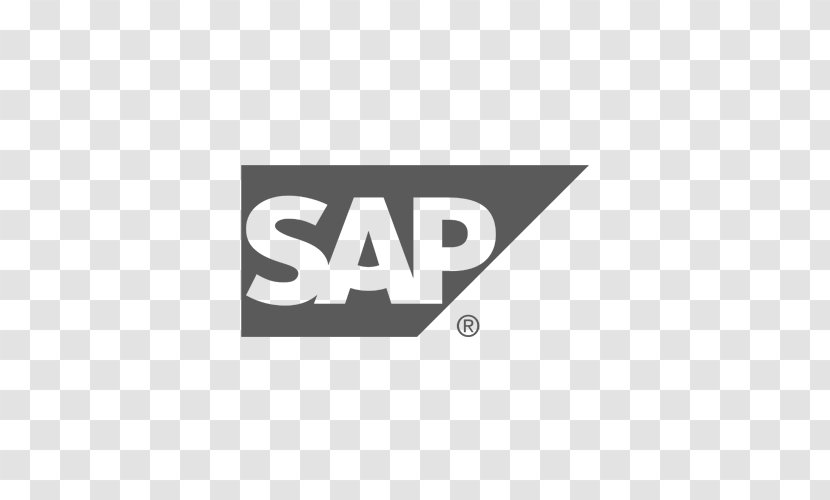 SAP ERP SE Implementation S/4HANA - Business Transparent PNG