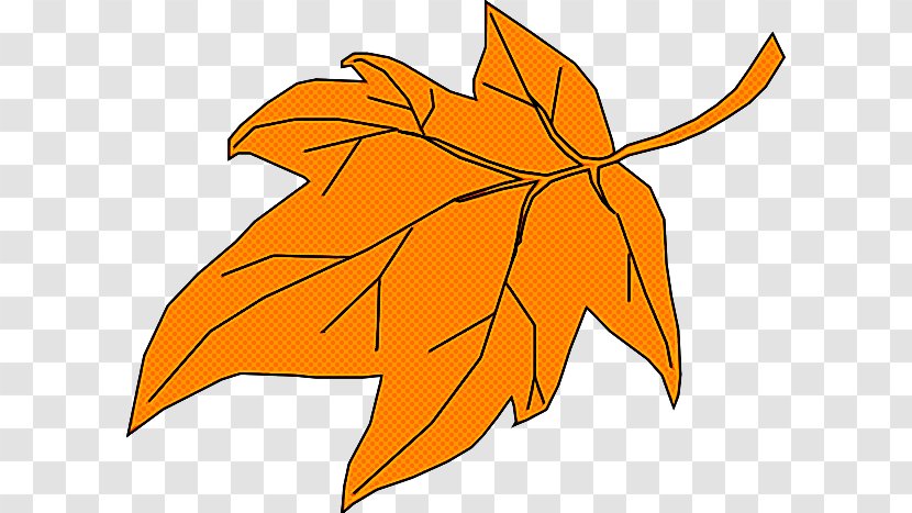 Maple Leaf - Plant - Deciduous Transparent PNG