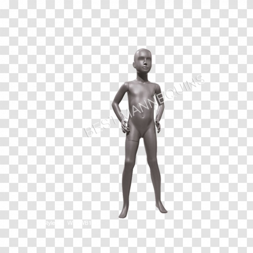 Shoulder Mannequin Homo Sapiens - Standing - Mannequins Transparent PNG