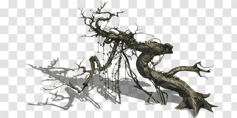 Twig Common Grape Vine Tree - Crooked Transparent PNG