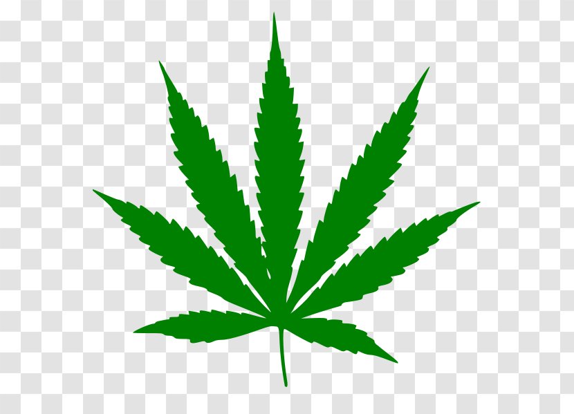 Medical Cannabis Sativa Marijuana Hemp - Hashish - Leaves Transparent PNG