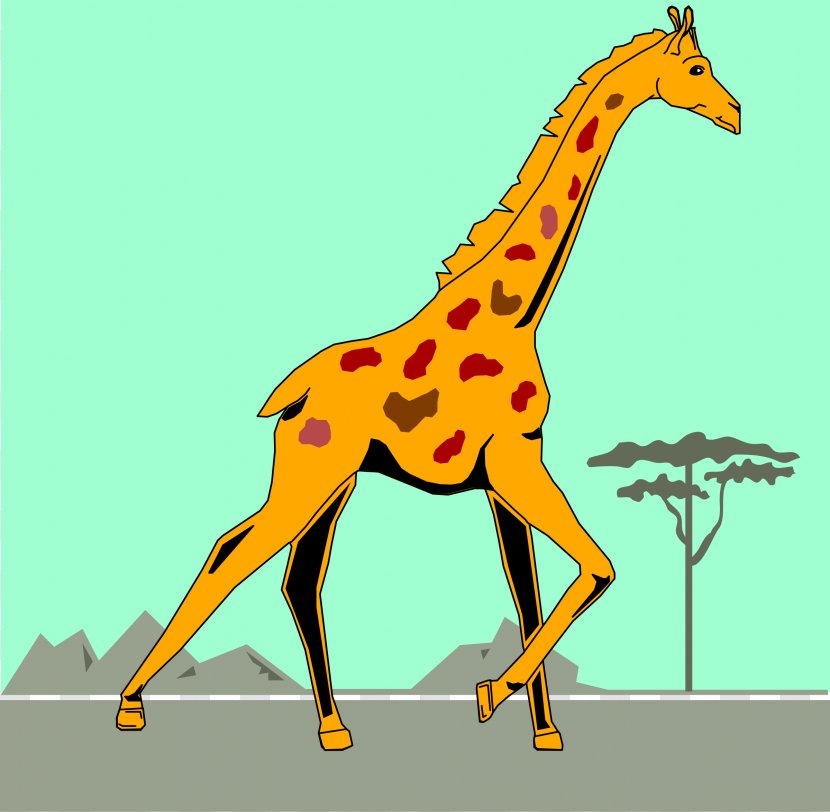 Northern Giraffe Cartoon Clip Art - Organism Transparent PNG