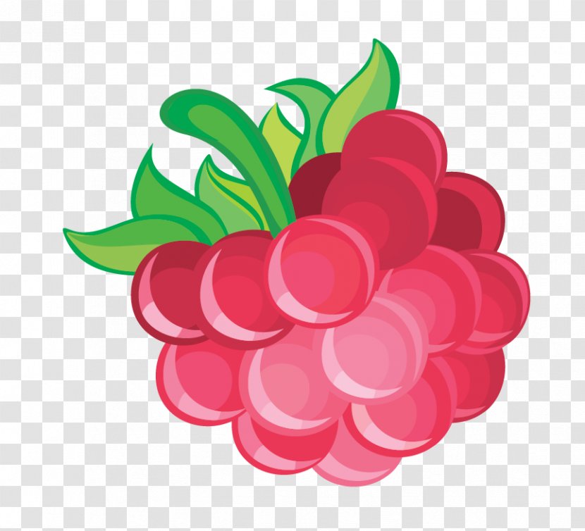 Frutti Di Bosco Red Raspberry - Fruit Transparent PNG