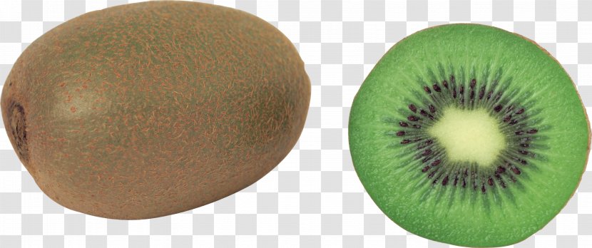 Kiwifruit Actinidia Deliciosa - Eye - Kiwi Image, Free Fruit Pictures Download Transparent PNG