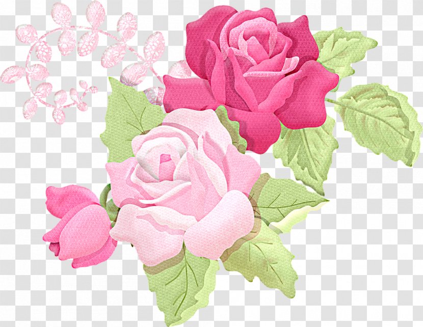 Garden Roses Cabbage Rose Pink Flower Clip Art - Floristry Transparent PNG