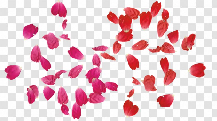 Rose Leaf Clip Art - Red - Free Pictures Transparent PNG