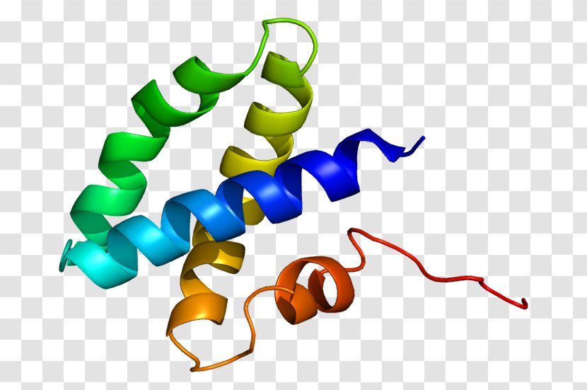 Prosaposin Saposin Protein Domain Gene Activator - Lysosome Transparent PNG