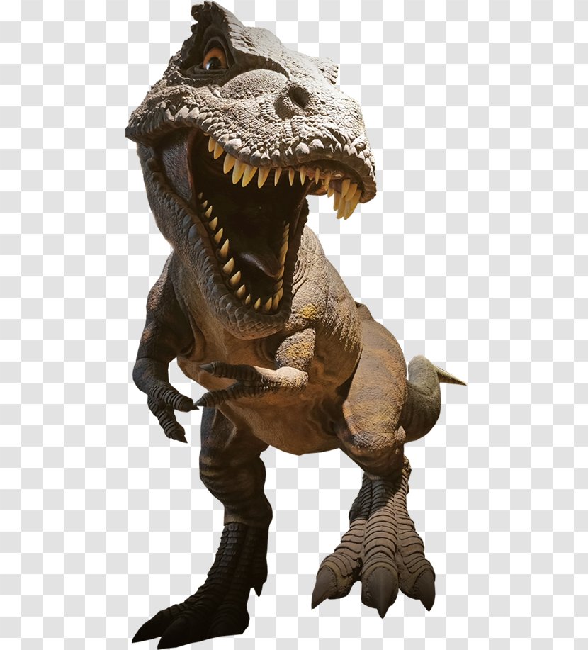 Tyrannosaurus Dinosaur Spinosaurus Giganotosaurus Velociraptor - Trex Transparent PNG