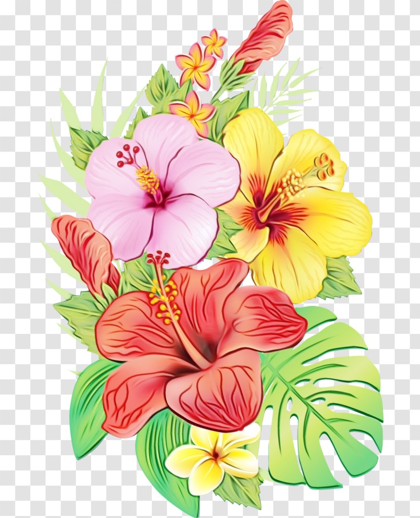 Flower Flowering Plant Hibiscus Hawaiian Petal - Watercolor - Chinese Bouquet Transparent PNG