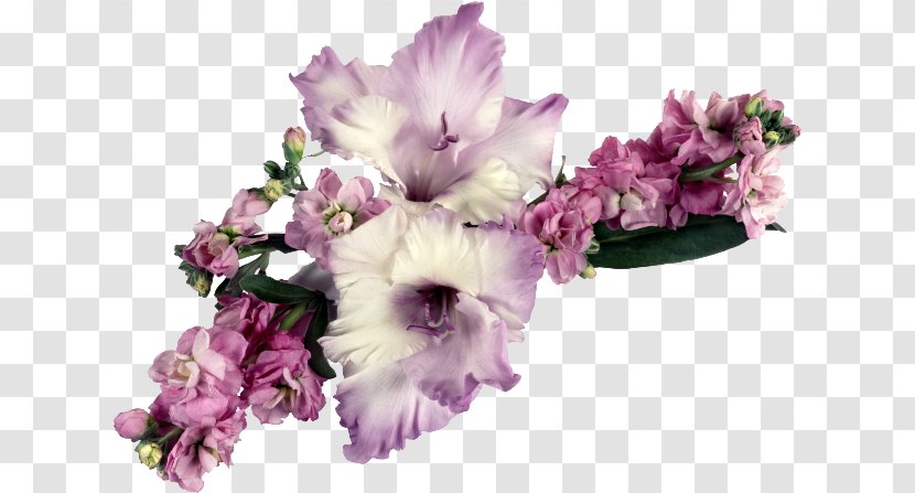Gladiolus Flower Bouquet - White Transparent PNG