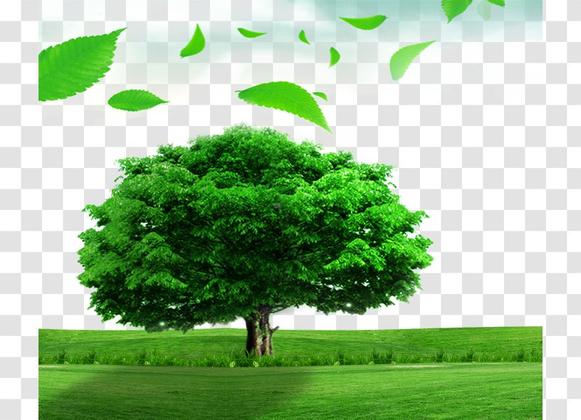 Poster Tree Material Desktop Wallpaper - Meadow - Trees Grass Transparent PNG