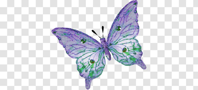 Butterfly Insect Clip Art Transparent PNG