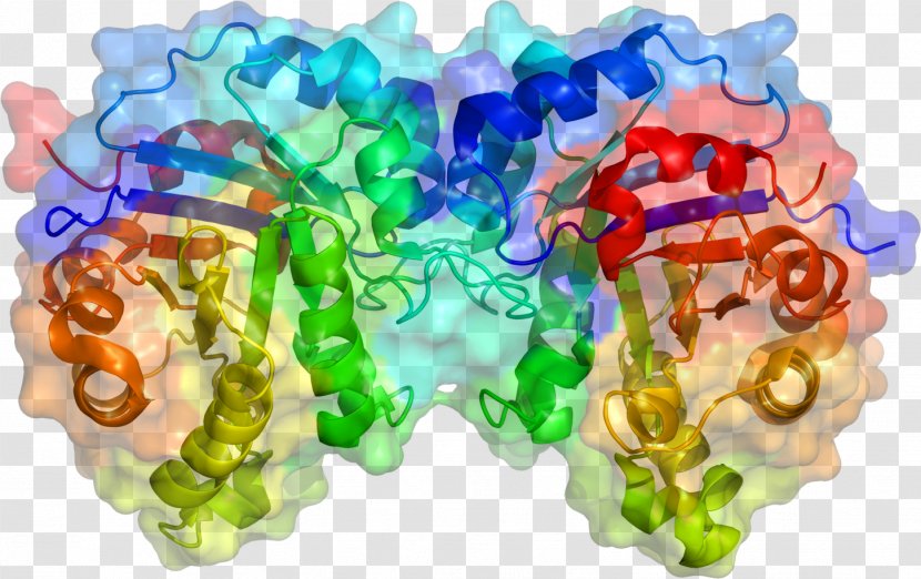 Secondary Metabolite Triosephosphate Isomerase Glyceraldehyde 3-phosphate Enzyme - Tridimensional Transparent PNG