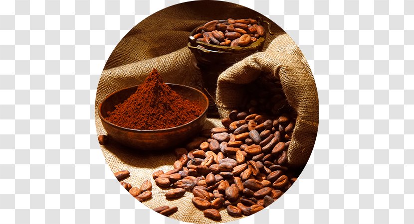 Cocoa Bean Solids Dutch Process Chocolate Theobroma Cacao - Coffee Transparent PNG