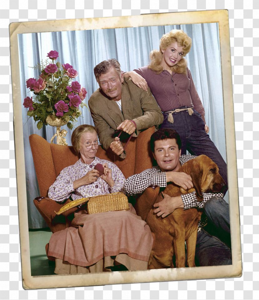 Blu-ray Disc Elly May Clampett DVD Television Show - Sitting - Dvd Transparent PNG