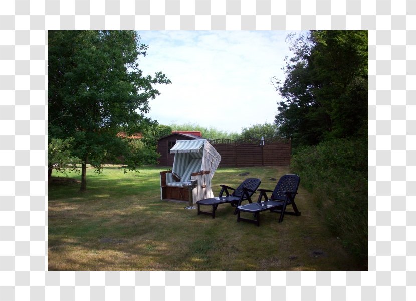 Tree Shade Canopy Camping Vacation - Landscape Transparent PNG