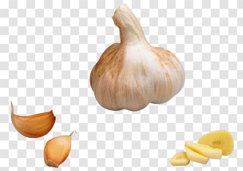 Garlic Onion Vegetable - Allicin Transparent PNG
