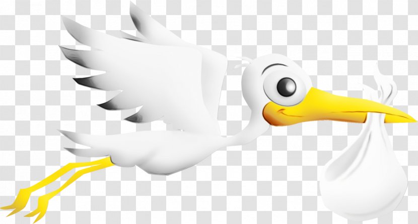 Duck Cartoon - Water Bird - Wing Transparent PNG