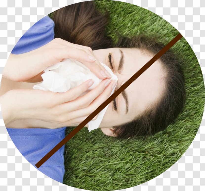 Allergy Hay Fever Therapy Disease Symptom - Grass Transparent PNG
