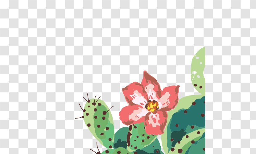 Cactaceae Floral Design - Acupuncture - Cactus Transparent PNG
