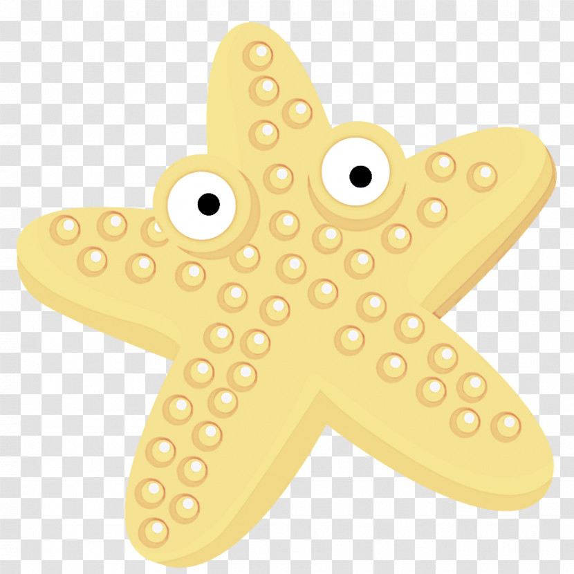 Starfish Transparent PNG