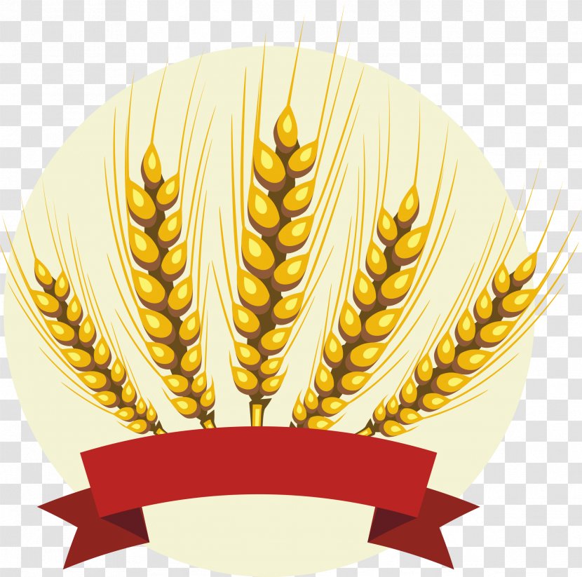 Vector Graphics Logo Clip Art Cereal - Common Wheat - Rice Transparent PNG