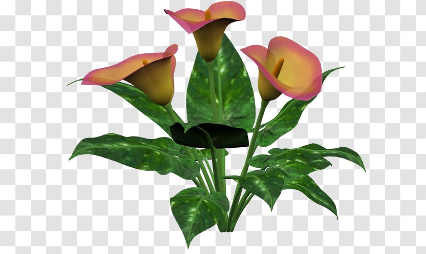 Floral Design Cut Flowers Plant Stem Bud - Flowerpot - Flower Transparent PNG