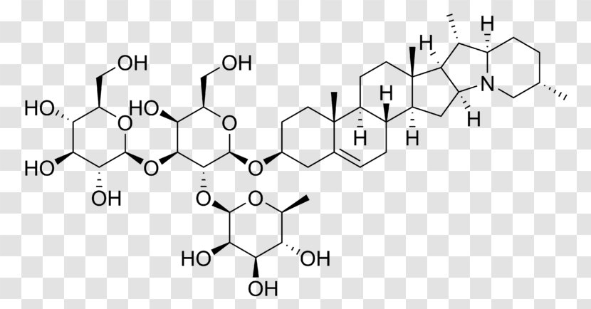 Triterpenoid Saponin Plant Triterpene Aloe Vera - Silhouette - Dietary Fiber Transparent PNG