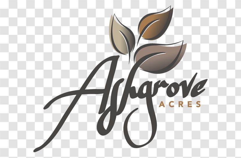 Ashgrove Acres R0A 1E0 SUMMER BOUNCE ENTERTAINMENT Logo Wedding - Event Management - Green Rental Transparent PNG