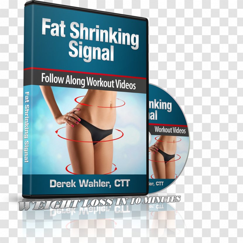 Adipose Tissue Weight Loss Toning Exercises Abdominal Obesity - Leptin - Health Transparent PNG