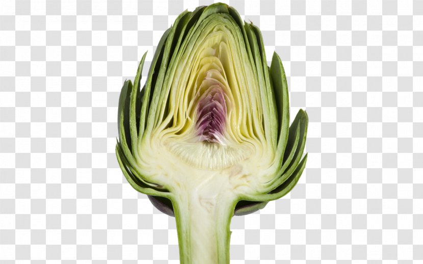 Artichoke Muffin Mediterranean Cuisine Vegetable Food - Zucchini - Artichokes Transparent PNG