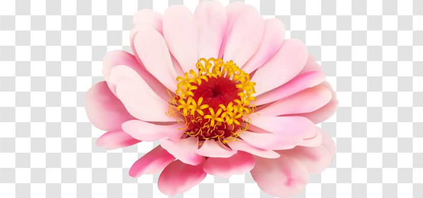 Royalty-free Drawing - Flowering Plant - Design Transparent PNG