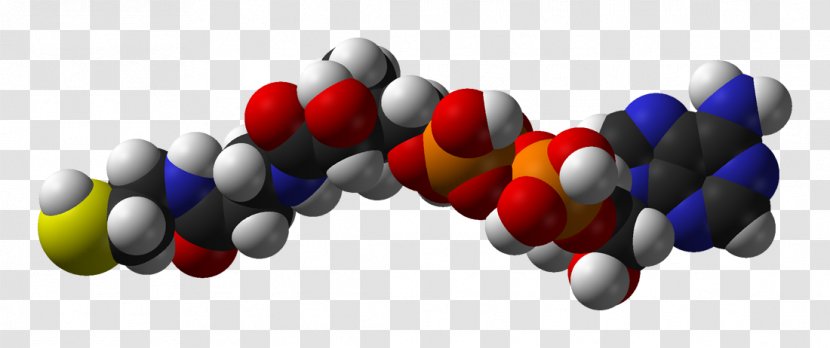 Molybdenum Cofactor Coenzyme A Tetrahydromethanopterin - Lipoic Acid Transparent PNG