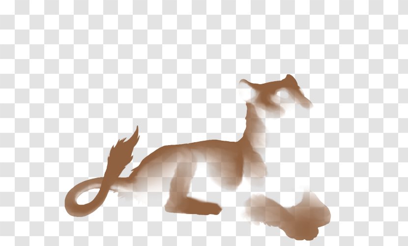 Lion Cheetah Mammal Horse Canidae - Birth Transparent PNG