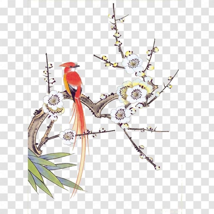 Chinese Painting Gongbi Bird-and-flower Ink Wash - Plum Blossom - Birds And Flowers Transparent PNG