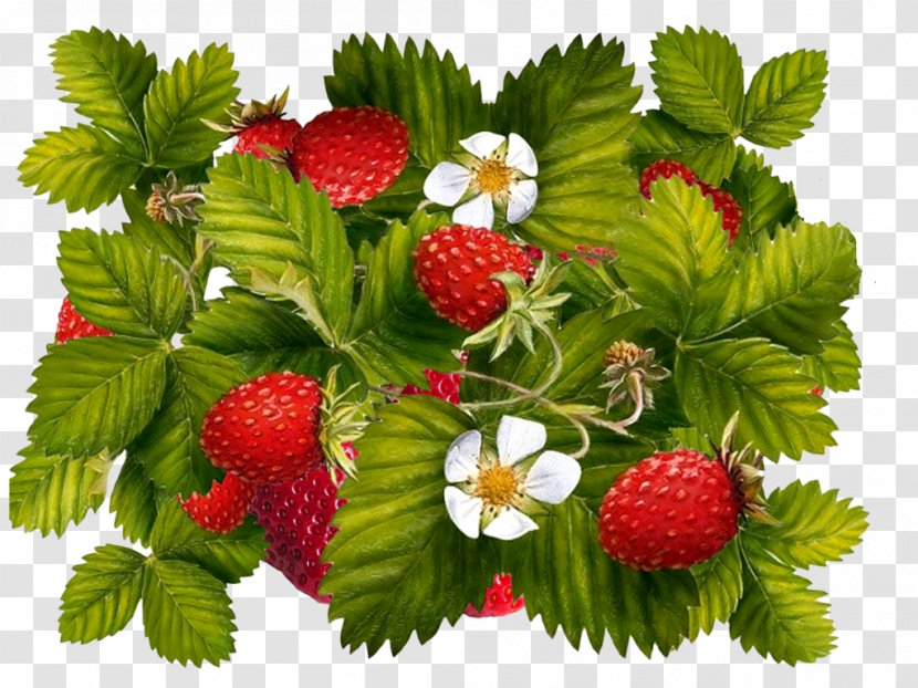 Strawberry Juice Milkshake Fruit Image - Food Transparent PNG