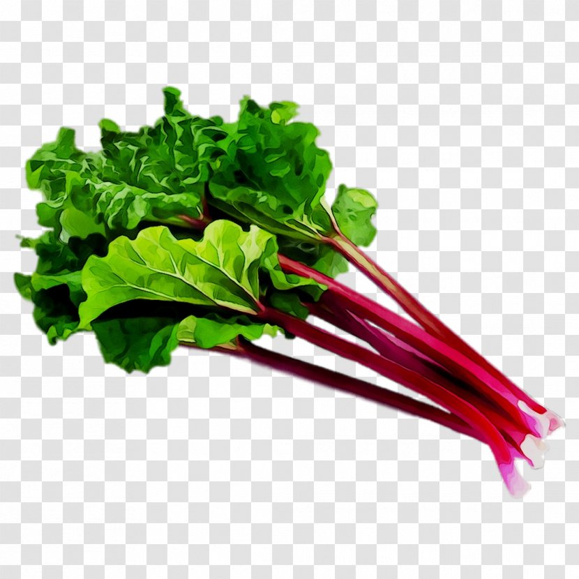 Chard Collard Greens Spring Rapini Herb - Flower - Choy Sum Transparent PNG