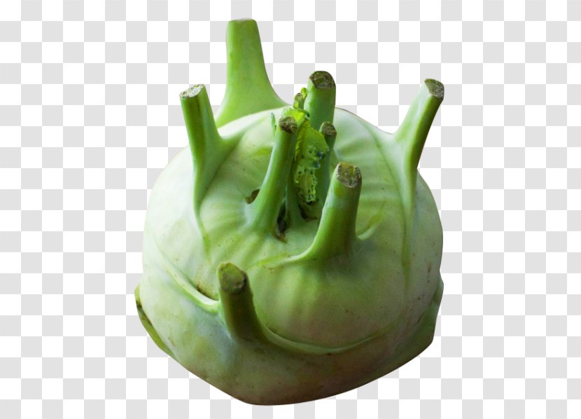 Kohlrabi Vegetable Turnip Rutabaga Transparent PNG