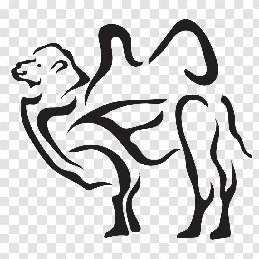 Monkey Cartoon - Stencil Camelid Transparent PNG